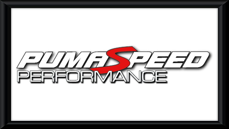 Puma Speed